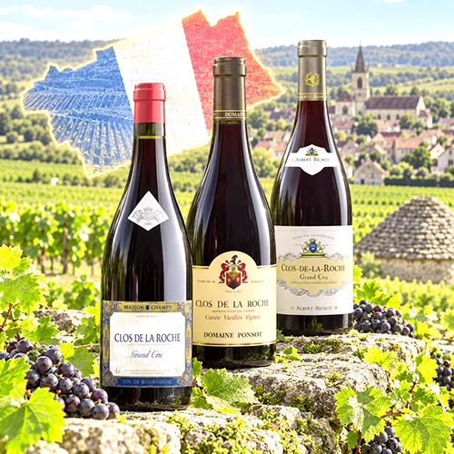 CLOS DE LA ROCHE